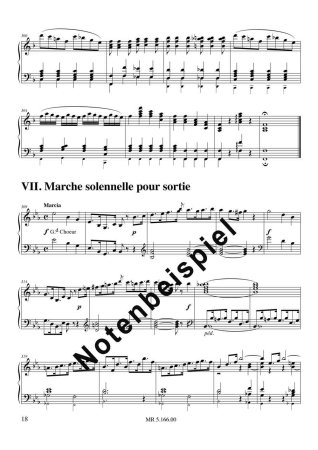 Preview: Vincent Amman Sorties